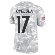 Arctic Camo Men's Ayo Oyelola Pittsburgh Steelers Limited 2024 Salute to Service Jersey