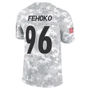 Arctic Camo Men's Breiden Fehoko Pittsburgh Steelers Limited 2024 Salute to Service Jersey