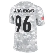 Arctic Camo Men's Daniel Archibong Pittsburgh Steelers Limited 2024 Salute to Service Jersey