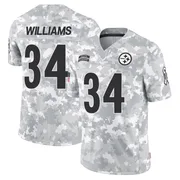 Arctic Camo Men's DeAngelo Williams Pittsburgh Steelers Limited 2024 Salute to Service Jersey