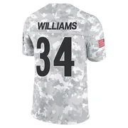 Arctic Camo Men's DeAngelo Williams Pittsburgh Steelers Limited 2024 Salute to Service Jersey