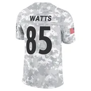 Arctic Camo Men's Duece Watts Pittsburgh Steelers Limited 2024 Salute to Service Jersey