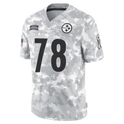 Arctic Camo Men's James Daniels Pittsburgh Steelers Limited 2024 Salute to Service Jersey