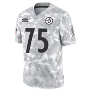 Arctic Camo Men's Joe Greene Pittsburgh Steelers Limited 2024 Salute to Service Jersey