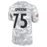 Arctic Camo Men's Joe Greene Pittsburgh Steelers Limited 2024 Salute to Service Jersey