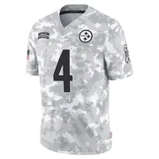 Arctic Camo Men's Jordan Berry Pittsburgh Steelers Limited 2024 Salute to Service Jersey