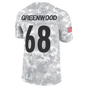 Arctic Camo Men's L.C. Greenwood Pittsburgh Steelers Limited 2024 Salute to Service Jersey