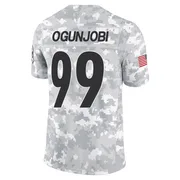 Arctic Camo Men's Larry Ogunjobi Pittsburgh Steelers Limited 2024 Salute to Service Jersey