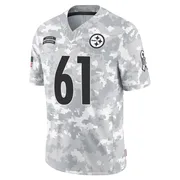 Arctic Camo Men's Logan Lee Pittsburgh Steelers Limited 2024 Salute to Service Jersey