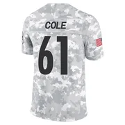 Arctic Camo Men's Mason Cole Pittsburgh Steelers Limited 2024 Salute to Service Jersey