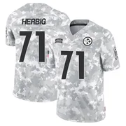 Arctic Camo Men's Nate Herbig Pittsburgh Steelers Limited 2024 Salute to Service Jersey