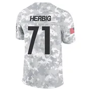 Arctic Camo Men's Nate Herbig Pittsburgh Steelers Limited 2024 Salute to Service Jersey