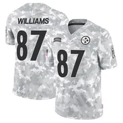 Arctic Camo Men's Rodney Williams Pittsburgh Steelers Limited 2024 Salute to Service Jersey