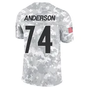 Arctic Camo Men's Spencer Anderson Pittsburgh Steelers Limited 2024 Salute to Service Jersey