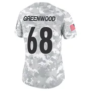 Arctic Camo Women's L.C. Greenwood Pittsburgh Steelers Limited 2024 Salute to Service Jersey