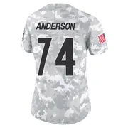 Arctic Camo Women's Spencer Anderson Pittsburgh Steelers Limited 2024 Salute to Service Jersey