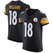 Black Men's Mike Williams Pittsburgh Steelers Elite Team Color Vapor Untouchable Jersey