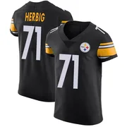 Black Men's Nate Herbig Pittsburgh Steelers Elite Team Color Vapor Untouchable Jersey