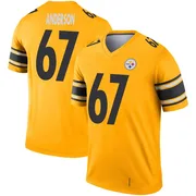 Gold Youth Calvin Anderson Pittsburgh Steelers Legend Inverted Jersey