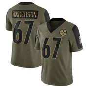 Olive Men's Calvin Anderson Pittsburgh Steelers Limited 2021 Salute To Service Jersey