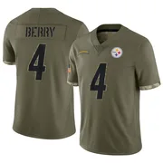 Olive Men's Jordan Berry Pittsburgh Steelers Limited 2022 Salute To Service Jersey