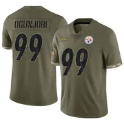 Olive Men's Larry Ogunjobi Pittsburgh Steelers Limited 2022 Salute To Service Jersey