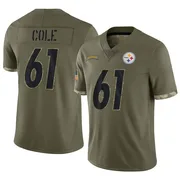 Olive Men's Mason Cole Pittsburgh Steelers Limited 2022 Salute To Service Jersey