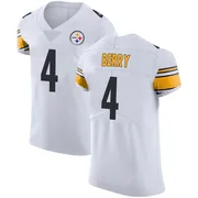 White Men's Jordan Berry Pittsburgh Steelers Elite Vapor Untouchable Jersey